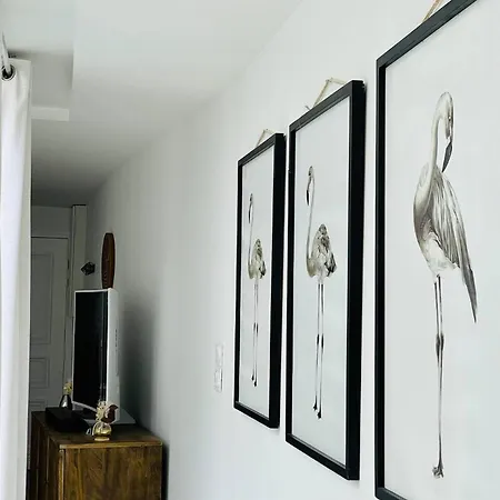 Le Flamant, Centre Ville, Lr132 * La Rochelle (Charente-Maritime)