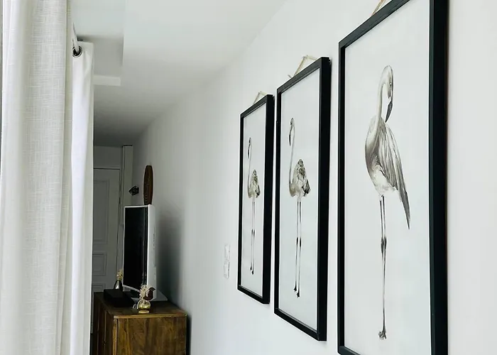 Le Flamant, Centre Ville, Lr132 * La Rochelle (Charente-Maritime)